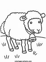 Mouton Coloriage Imprimer Moutons Coloriages Animaux Ferme Maternelle Extraordinaire Sheep Enfant Archivioclerici sketch template