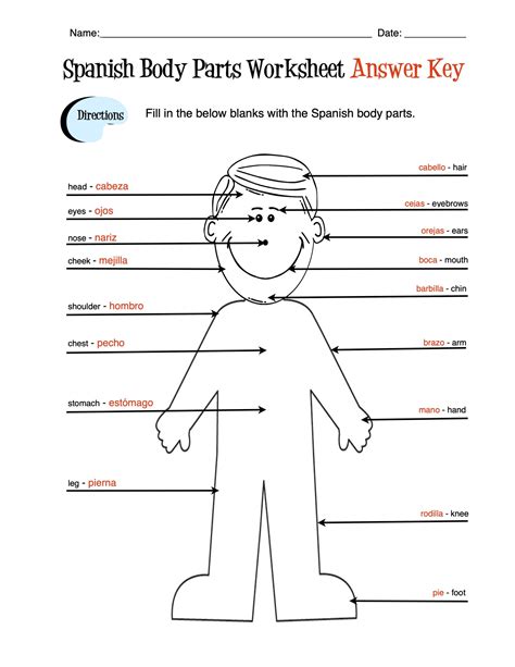 spanish body parts label worksheet answer key   teachers