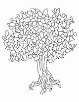 Tree Coloring State Peach Pages Alabama Fruit Bare Trees Oak Drawing Printable Outline Colorings Getdrawings Color Getcolorings sketch template