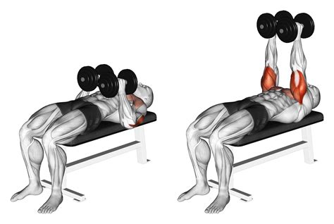 dumbbell close grip press benefits muscles worked   inspire