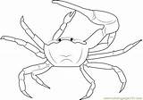Coloring Fiddler Gulf Crab Mud Pages 564px 58kb Coloringpages101 sketch template