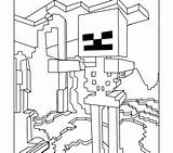 Minecraft Coloring Pages Skins Dog Herobrine Skeleton Online Getcolorings Printable Print sketch template