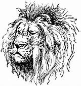 Lion Lions Coloring Pages Head sketch template