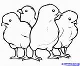 Mewarnai Ayam Chicks Chick Kartun Chickens Hewan Menggambar Binatang Coloringhome Bonikids Sltp Slta Paud Pemandangan Boyama Sektsa Pano Seç sketch template