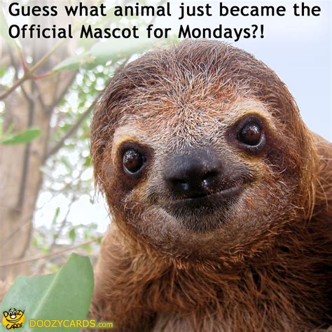 Funny Sloth Meme Monday Mascot Sloth Ecard Doozy Cards