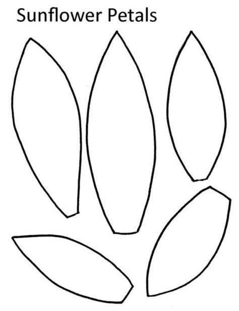 sunflower leaf template clipart  click   image