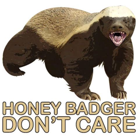 honey badger don t care honey badger know your meme