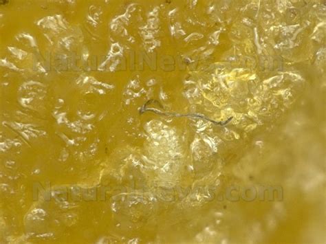 more chicken mcnugget strange fiber photos released by natural news forensic food labs