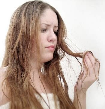 nourish dry hair  home speedy remedies