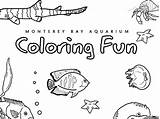 Coloring Aquarium Seashore Clipart Pages Cover Book 88kb Designlooter 450px Bay Webstockreview 83kb sketch template