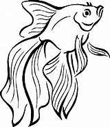 Fish Coloring Pages Cartoon Tropical Cute Drawing Cool Kids Outline Drawings Printable Pout Colouring Color Betta Print Easy Fighting Animal sketch template