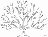 Coloring Bare Tree Pages Printable sketch template