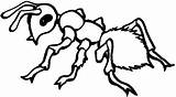 Ant Coloring Fire Ants Pages Dangerous Color Print Button Using sketch template