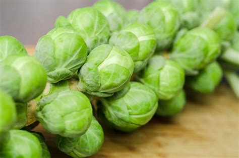 brussels sprouts planting growing  harvesting brussels sprouts   farmers almanac