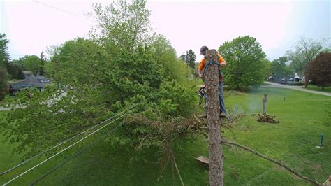 tree trimming drone video dropping     youtube