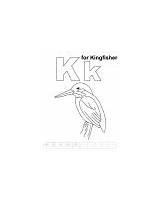 Coloring Kk Letter Printable Pages Kingfisher sketch template