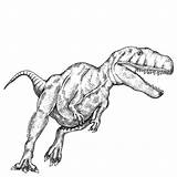Megalosaurus Addison sketch template