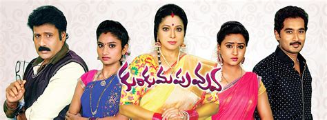 Kumkuma Puvvu Maa Tv Show Serial Series Tv Drama Series