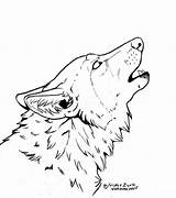 Howling Natsumewolf Lobos Wilki Lupi Werwolf Einfach Trace Zeichnung Zeichnungen Kolorowanki Heulender Letzte Stampa Pokoloruj Teraz Drawingwow sketch template