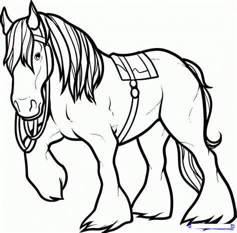 coloring page   horse coloring page book