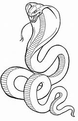 Rattlesnake Drawing Snake Coloring Getdrawings sketch template