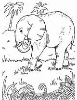 Realistic Elephants sketch template