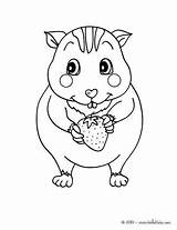 Hamster Coloring Pages Dwarf Getcolorings sketch template
