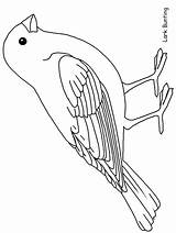 Vogel Birds Vögel Boyama Malvorlagen Robin Ausmalbilder Muhabbet Outline Zeichnen Colouring Okul Hayvanlar Animali Library Drawings Etkinlikleri Senioren Colorare Kusu sketch template