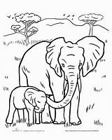 Elephants Ausmalbilder Sheets Elefant Coloriage Elefanten sketch template