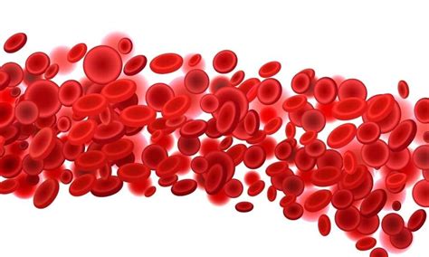 hemoglobin   blood decreases ideal bangla