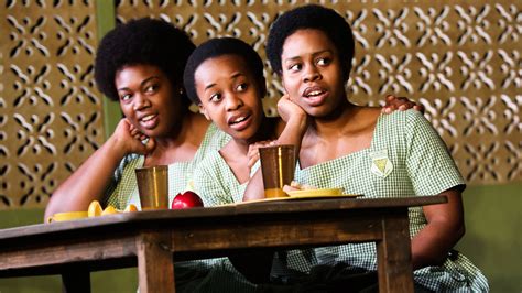 school girls or the african mean girls play theater review