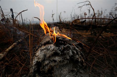 hundreds   fires  brazil  amazon outrage grows abs cbn news