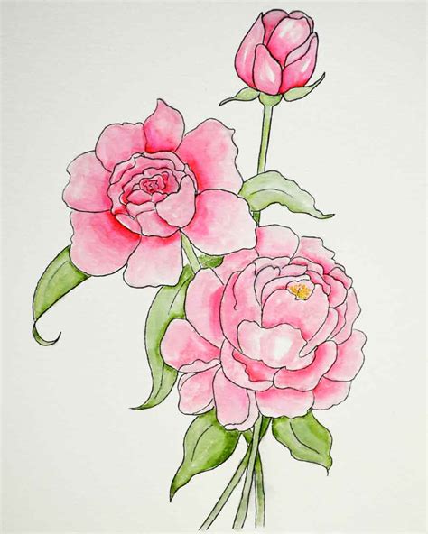 peony coloring page  paint  blog