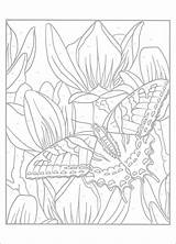 Color Number Butterflies Book sketch template