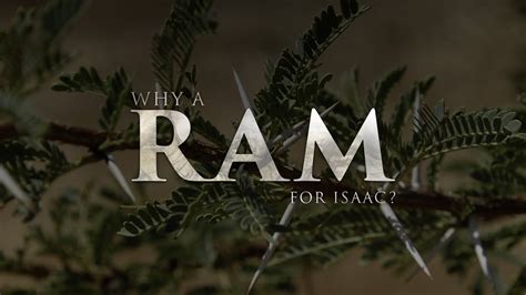 god provide  ram    lamb   substitute  isaac