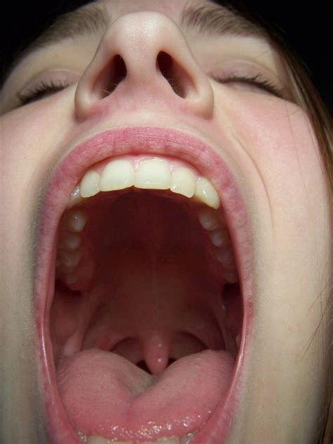 mouth like the ai bridge by della stock on deviantart inner mouth pinterest see more ideas