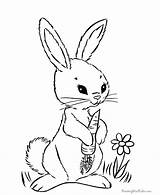 Bunny Coloring Getdrawings Playboy Pages sketch template