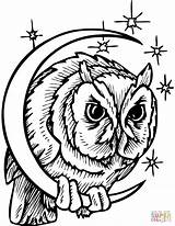 Owl Coloring Moon Crescent Pages Clipart Owls Drawing Clip Animals Printable Vector Predators Realistic Birds Tattoos Nocturnal Tribal Vectors Predator sketch template