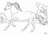 Coloring Pages Horse Awesome Albanysinsanity sketch template