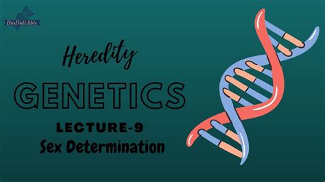 Genetics Heredity Sex Determination Lecture 9 Biodidiable Youtube