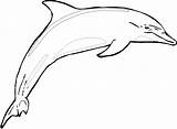 Dolphin Delfino Delfin Disegno Dauphin Ausmalen Dolphins Colorear Stampare Colouring Delfini Clipartmag Webstockreview Coloriages Indietro sketch template