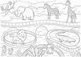 Zoo Coloring Animals Printable Poster Kids sketch template