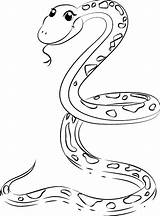 Colorare Serpente Serpenti Disegno sketch template