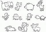 Coloring Pages Animal Easy Popular Animals sketch template