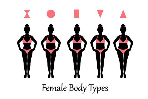 female body types custom designed graphics creative market