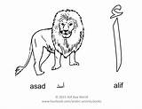 Alphabet Alif Arabic Letter Coloring Asad اسد Lion Kids Letters Animal English Draw First Pages Worksheets Activities Activity Color Language sketch template