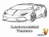 Lamborghini Centenario sketch template