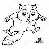 Squirrel Vliegende Eekhoorn Kleurend sketch template
