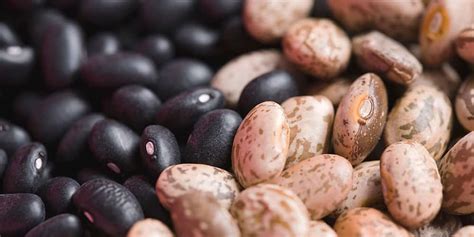 are black beans healthier than pinto beans