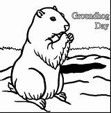 Groundhog Coloring Getdrawings sketch template